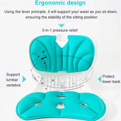 Back Support Sitting Posture Correction Office Chair Back Pain Relief Ergonomic Waist Protection Cushion Anti Hunchback Pillow